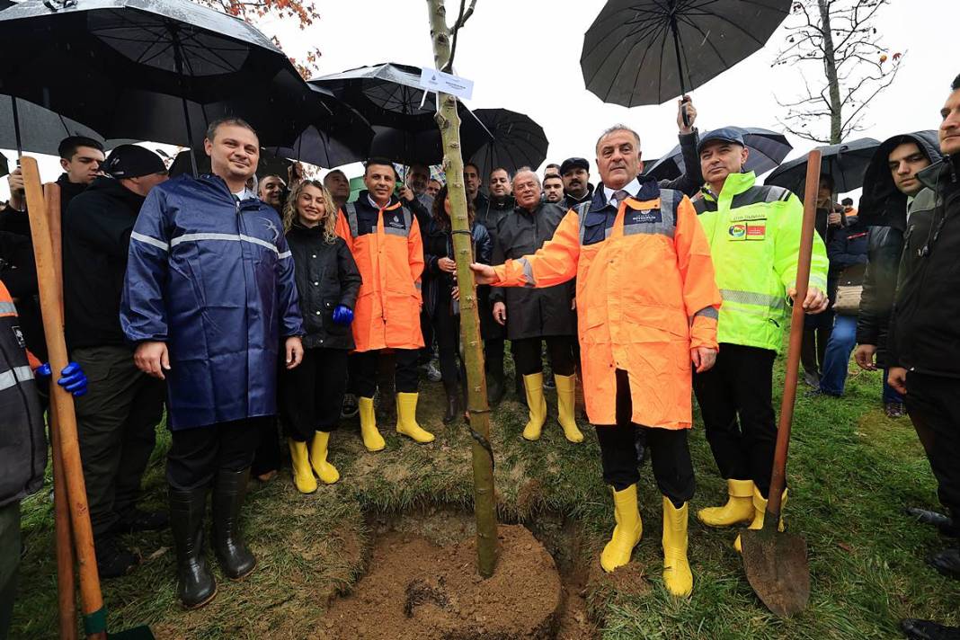 İstanbul'a 1111 'nefes' takviyesi yapıldı! Fıstık çamları ve zeytinler buluştu 10